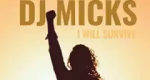 DJ Micks - I Will Survive